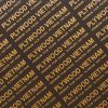 Ván Phim Vietnamplywood