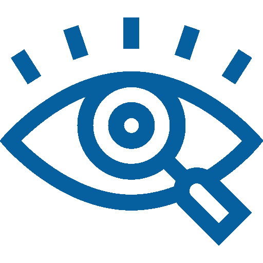icon vision 2