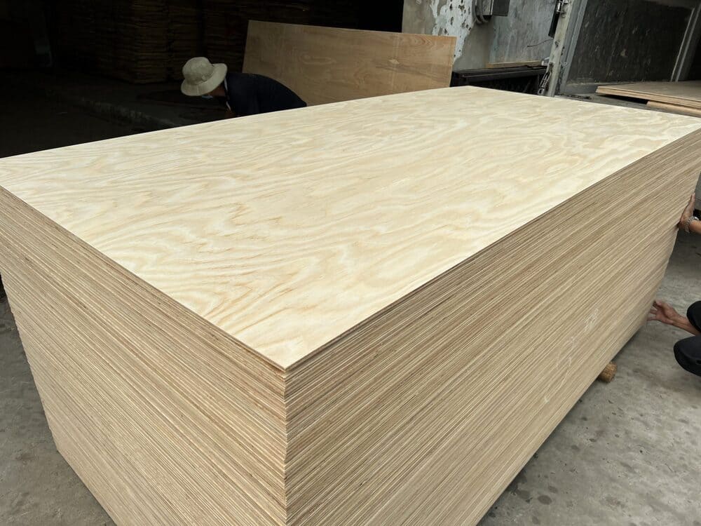 ván plywood birch